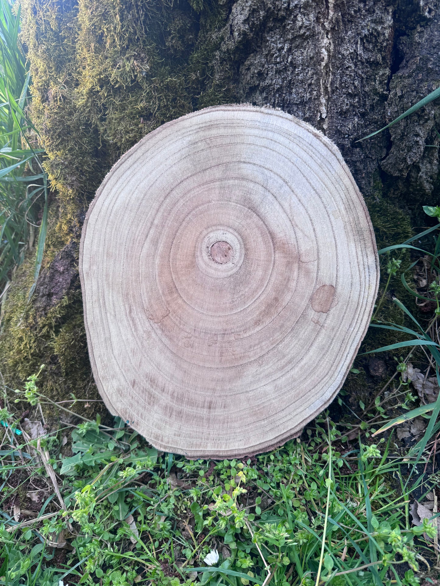 Handbemaltes Holztablett „Magische Pilze“ – Unikat Wanddeko & Kunsthandwerk