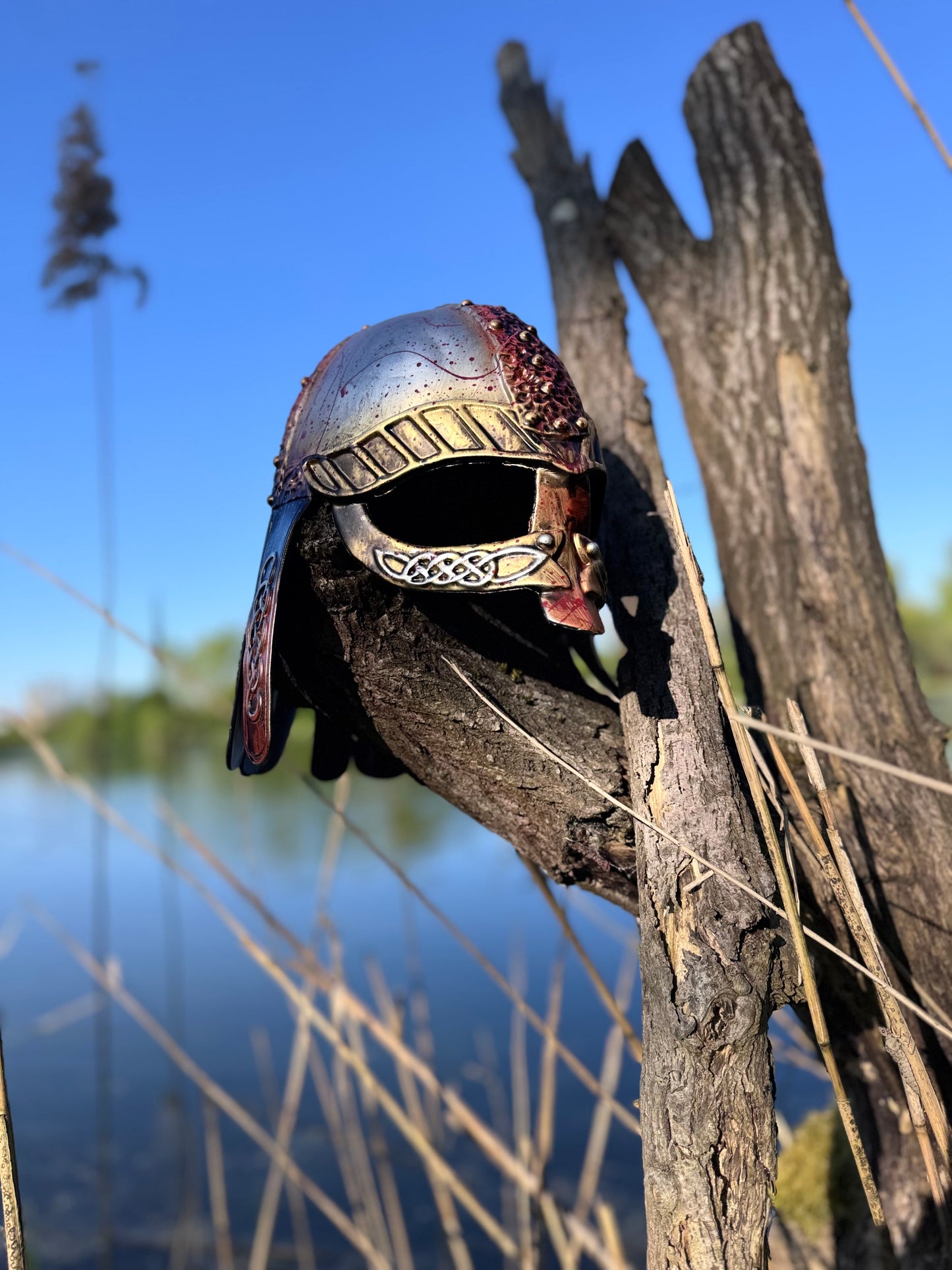 Wikinger-Helm "Gunnars Stolz"