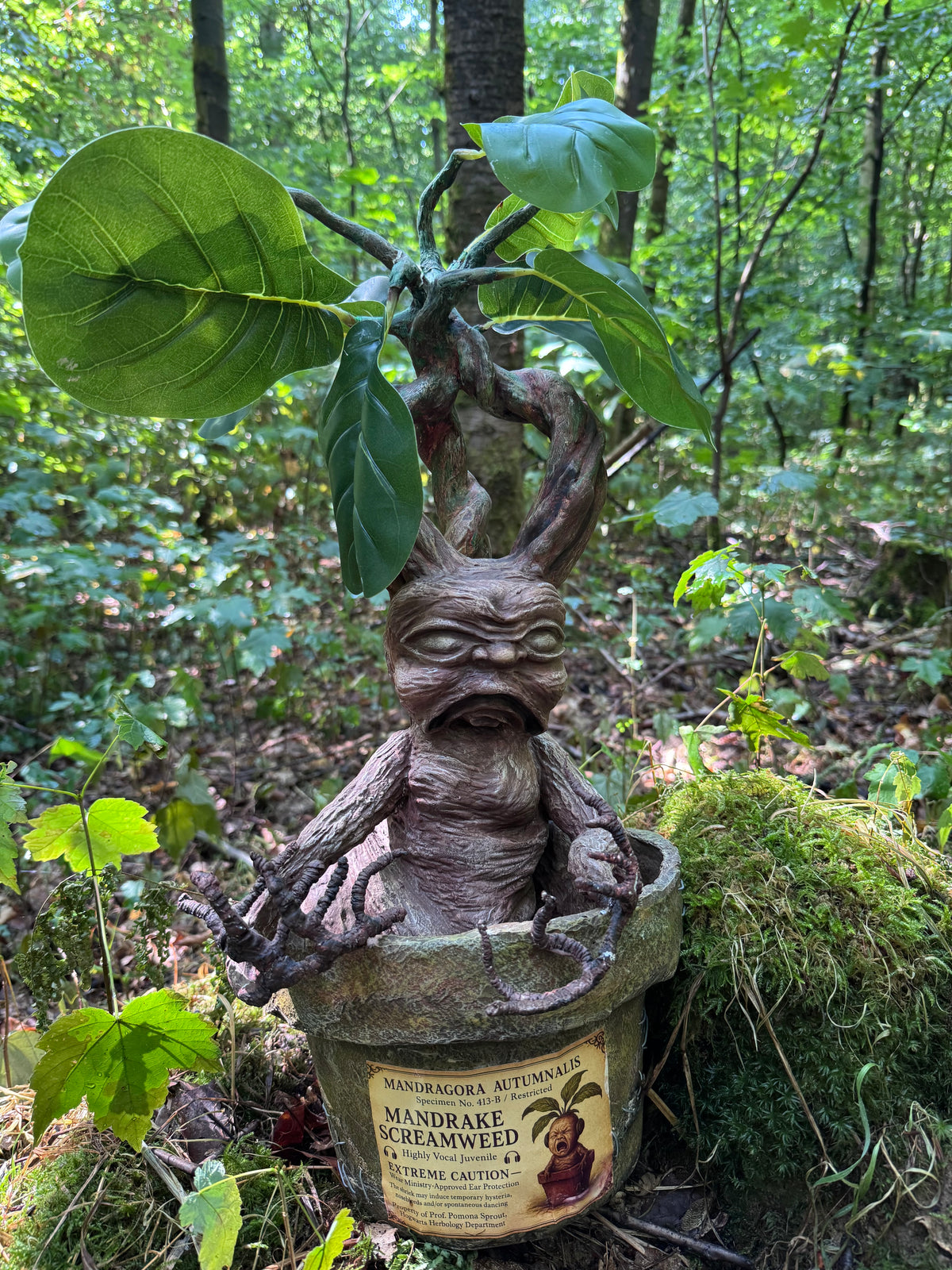 Mythical Mandrake Root - Handcrafted Alchemy Sculpture (2.3 kg)