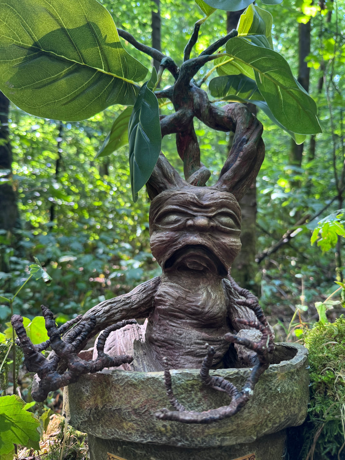 Mythical Mandrake Root - Handcrafted Alchemy Sculpture (2.3 kg)