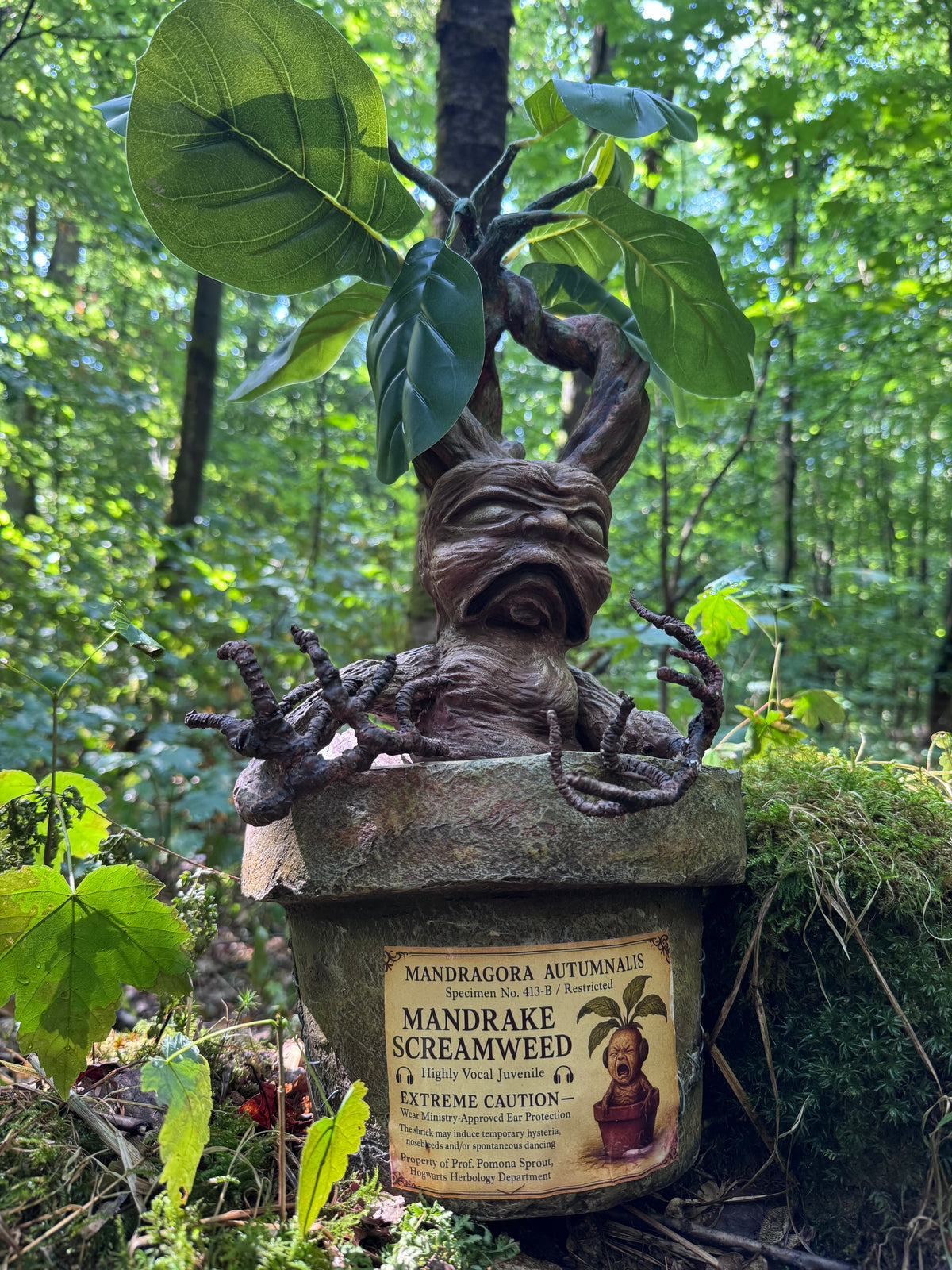 Mythical Mandrake Root - Handcrafted Alchemy Sculpture (2.3 kg)